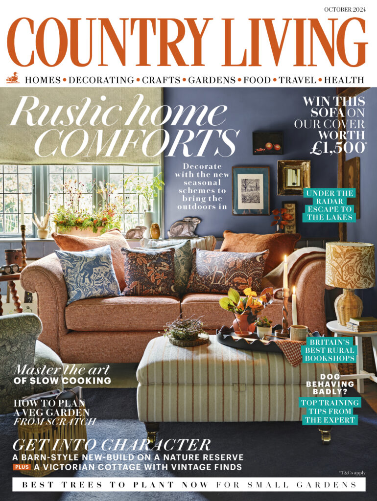 Country living magazine: homes, decoration, crafts.